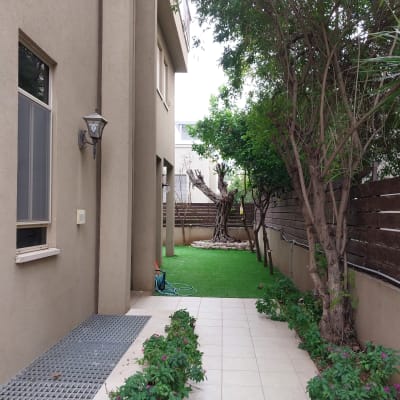 שביל גינה עם עצים ודשא מלאכותי