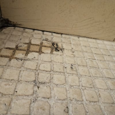 רצפה עם סימני רטיבות ועובש בפינה