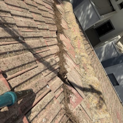ניקוי מחטי אורן מגג רעפים באמצעות מפוח עלים