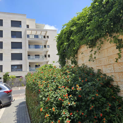 שיחים ירוקים עם פרחים אדומים וכתומים בגינה עירונית