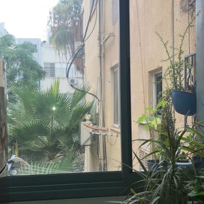 חלון עם צמחים, ללא כלי ניקוי נראים