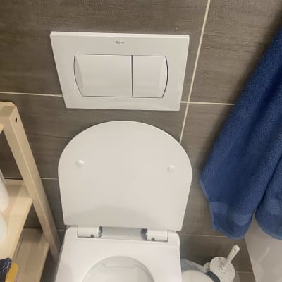 אסלה עם לחצן הדחה כפול ומברשת ניקוי