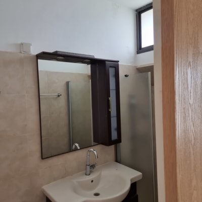 עבודות צבע וטיח