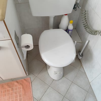 שירותים עם מיכל הדחה, צינור ומברשת ניקוי