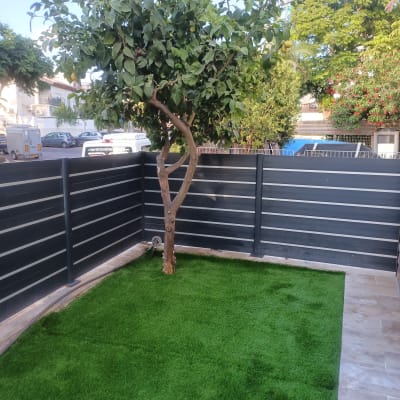 עץ לימון על דשא סינתטי בגינה קטנה