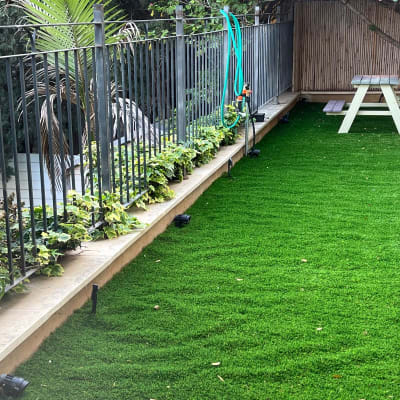 צינור השקיה, דשא סינתטי, צמחים לאורך גדר