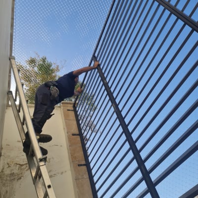 אדם על סולם מתקין רשת למניעת יונים