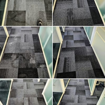 שטיחים במשרד לאחר ניקוי יסודי