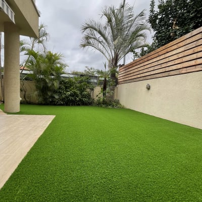 דשא ירוק ועצים בגינה פרטית