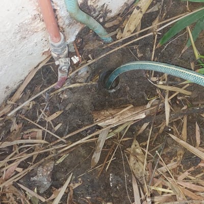 צינור ירוק מחובר לקיר עם ברז