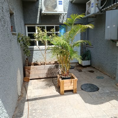 עציצים וצמחים בפינת גינה קטנה