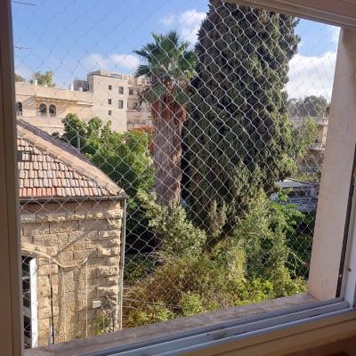 רשת יונים מותקנת על חלון למניעת כניסת יונים