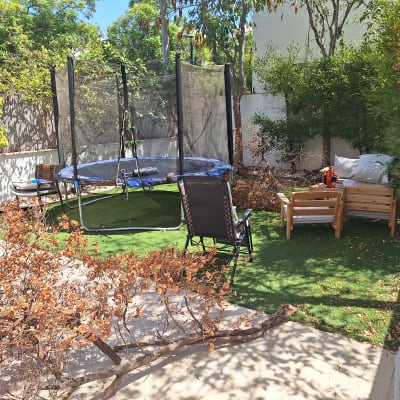 גינה עם דשא סינתטי, עצים וענפים יבשים