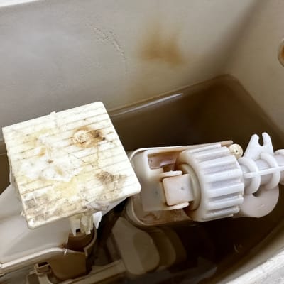 מנגנון מצוף בתוך מיכל הדחה עם חלודה