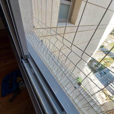 רשת מתכת ומחטי דוקרנים למניעת יונים על אדן חלון