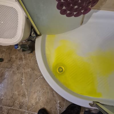 מקלחת עם מים צהובים וניקוז