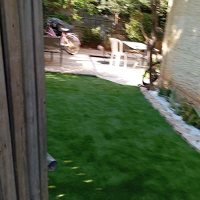 דשא ירוק עם ערוגת פרחים לצד שביל