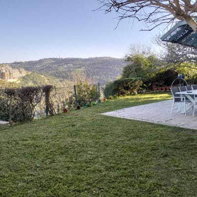 דשא גזום, עציצים, גדר חיה, עץ, צינור השקיה