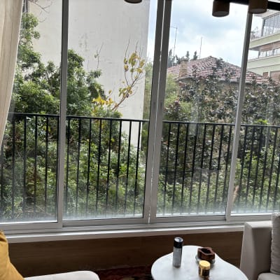 חלון גדול עם מסגרת מתכת שחורה וצמחייה בחוץ