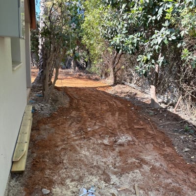 שביל אדמה עם עצים וענפים מסביב