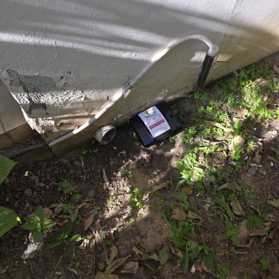 תחנת פיתיון להדברת מזיקים ליד קיר חיצוני