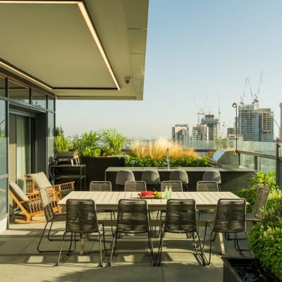 צמחים ירוקים ופרחים במרפסת גג