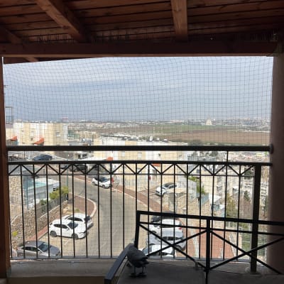 רשת נגד יונים