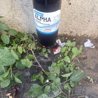 מסנן מים מותקן על קיר עם צמחים מסביבו