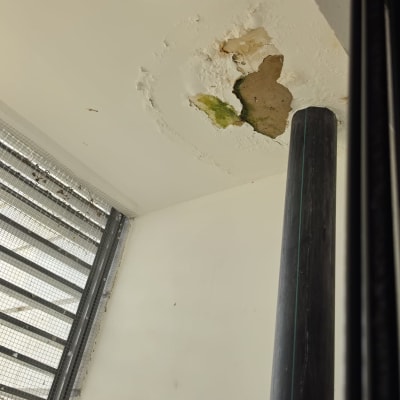 תקרת מבנה עם נזקי רטיבות קשים, קילופי צבע ועובש לפני תיקון וצביעה