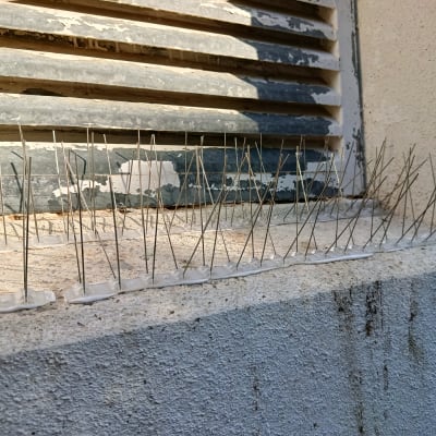 דוקרנים להרחקת יונים על אדן חלון