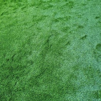 דשא ירוק מלאכותי בגינה