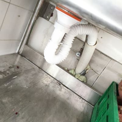 תמונה של צינור ניקוז מתחת לכיור