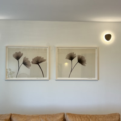 תמונות פרחים על קיר עם תאורה