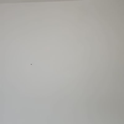 empty wall with small mark