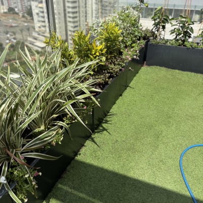 צמחים ופרחים במרפסת עם דשא סינתטי