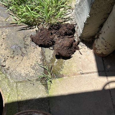 מכסה ביוב פתוח עם לכלוך על הרצפה