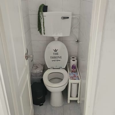 שירותים עם ניאגרה, צינור מים ונייר טואלט