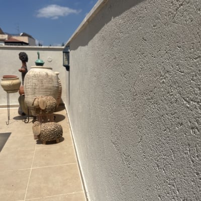 קיר חיצוני עם עציצים ודמויות דקורטיביות