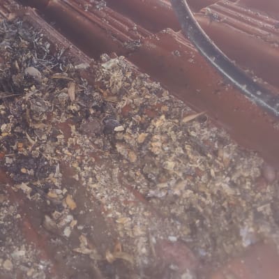 חוט חשמל על גג רעפים עם לכלוך