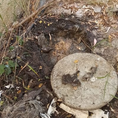 אזור חיצוני עם מכסה ביוב פתוח ופסולת סביבו