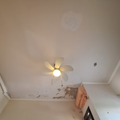 תקרה עם מאוורר ותיקוני צבע