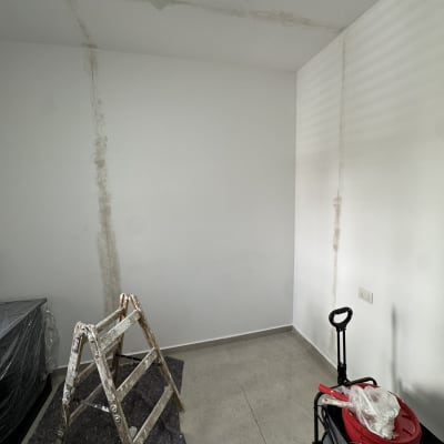 סולם וחומרי צביעה בחדר עם קירות מוכתמים