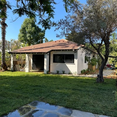 דשא ירוק ועצים בגינה פרטית