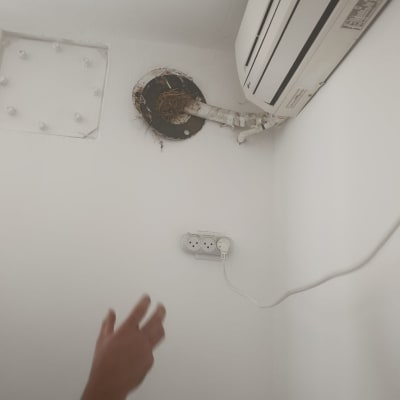 יד מושטת לכיוון פתח עם קן ציפורים