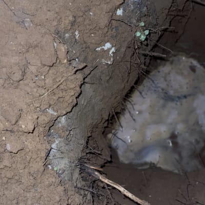 אדמה רטובה עם סדקים ומים