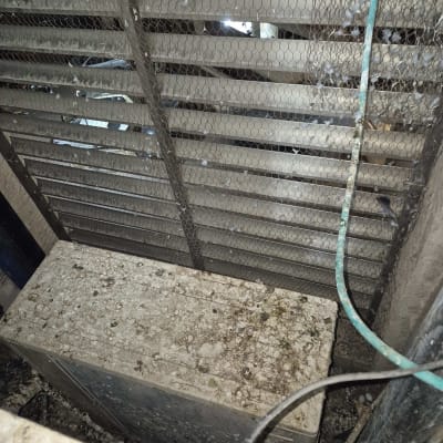 מסתור כביסה ומעבה מזגן המכוסים בצואת יונים ונוצות לפני ניקוי
