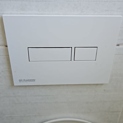 לחצן הדחה כפול על קיר חדר אמבטיה