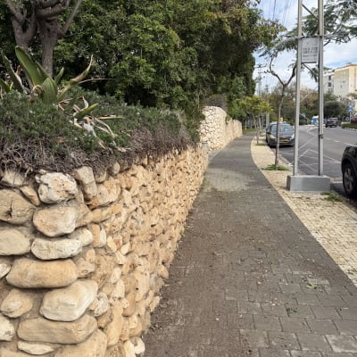 קיר אבן עם צמחייה לאורך מדרכה