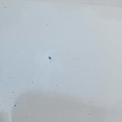 שריטה קטנה על צבע רכב לבן