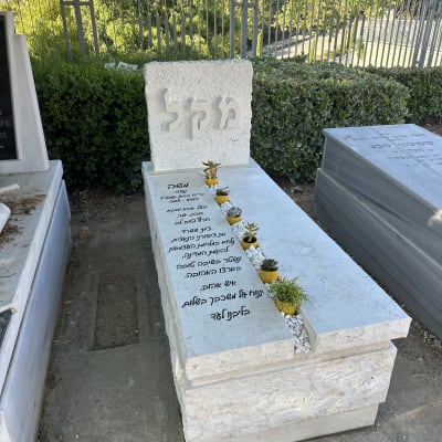 מצבה עם כיתוב בעברית וצמחים קטנים על הקבר